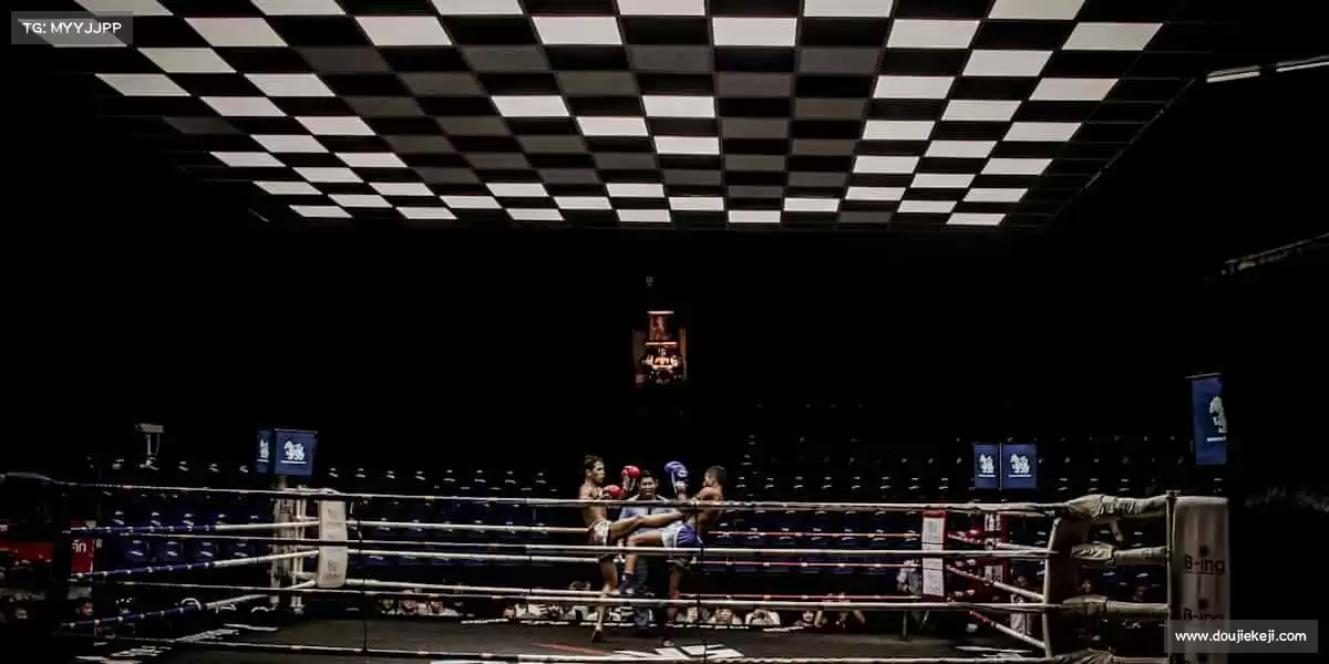 行业领先的理由